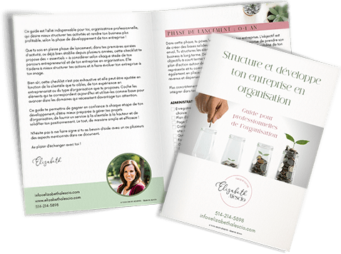 Guide - Structure et développe ton entreprise en organisation