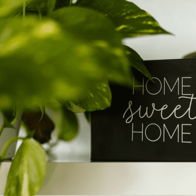 Detox maison 4 zones a desencombrer_Elizabeth Alescio_Organisation maison_Organisatrice professionnelle